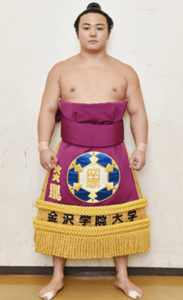 炎鵬