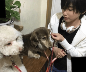 道枝駿佑と愛犬のラデュレとアール