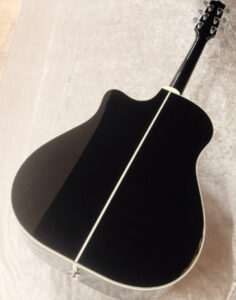 TAKAMINE TDP861Cのバック