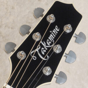 TAKAMINE TDP861Cのヘッド