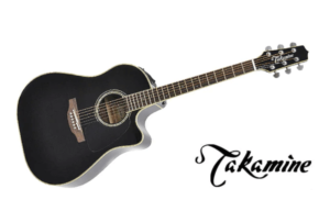 TAKAMINE TDP861C