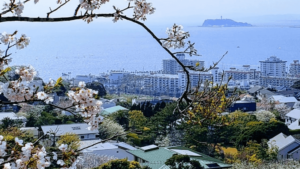 神奈川県三浦郡葉山町の写真