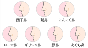 鼻の形の種類