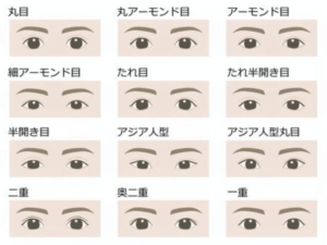 目の形の種類